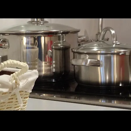 多莫斯罗马努斯公寓 公寓 卢布尔雅那