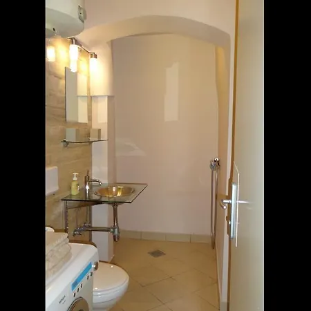 Domus Romanus * Ljubljana